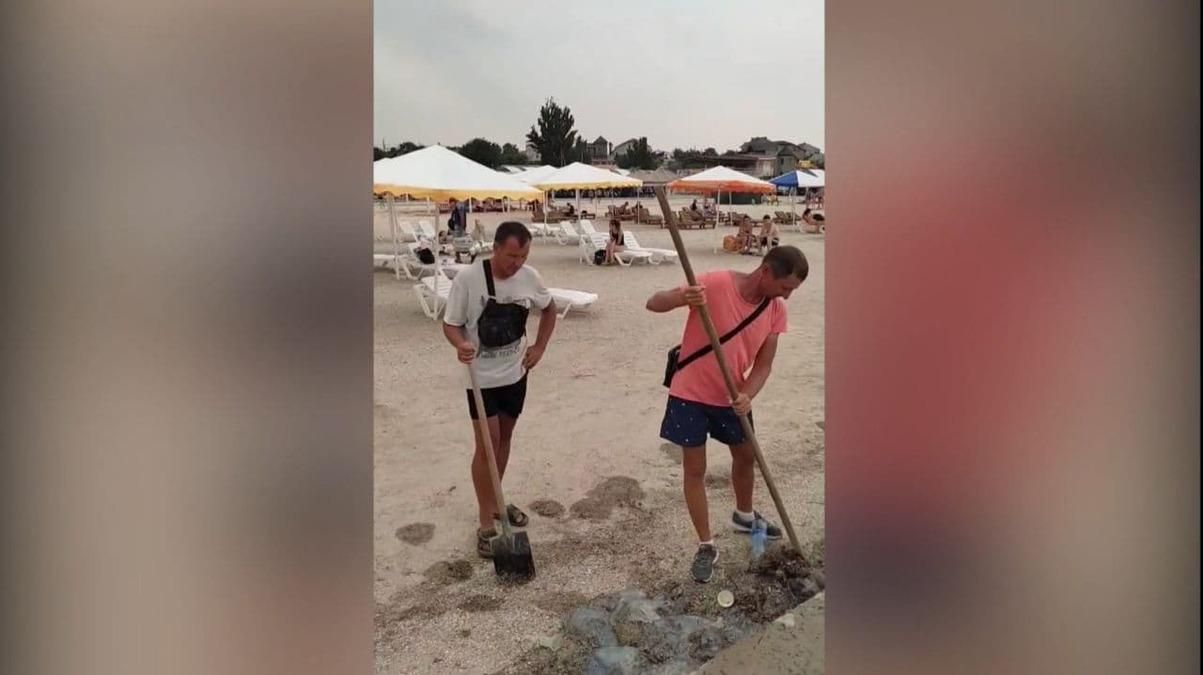 У Генічеську медуз скидають у море разом зі сміттям