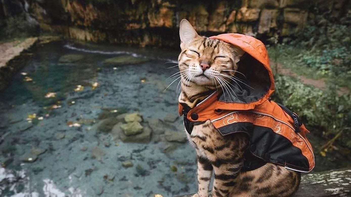 Погода на 10 августа 2021 в Украине: что прогнозируют синоптики Погода на 10 августа 2021 в Украине: что прогнозируют синоптики