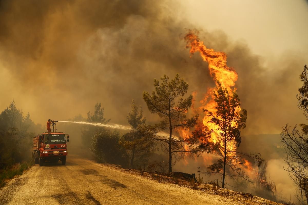 Туреччина взяла під контроль майже всі лісові пожежі