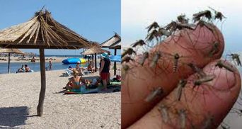 "Такого кошмару за життя не можу пригадати": у Бердянську нашестя комарів