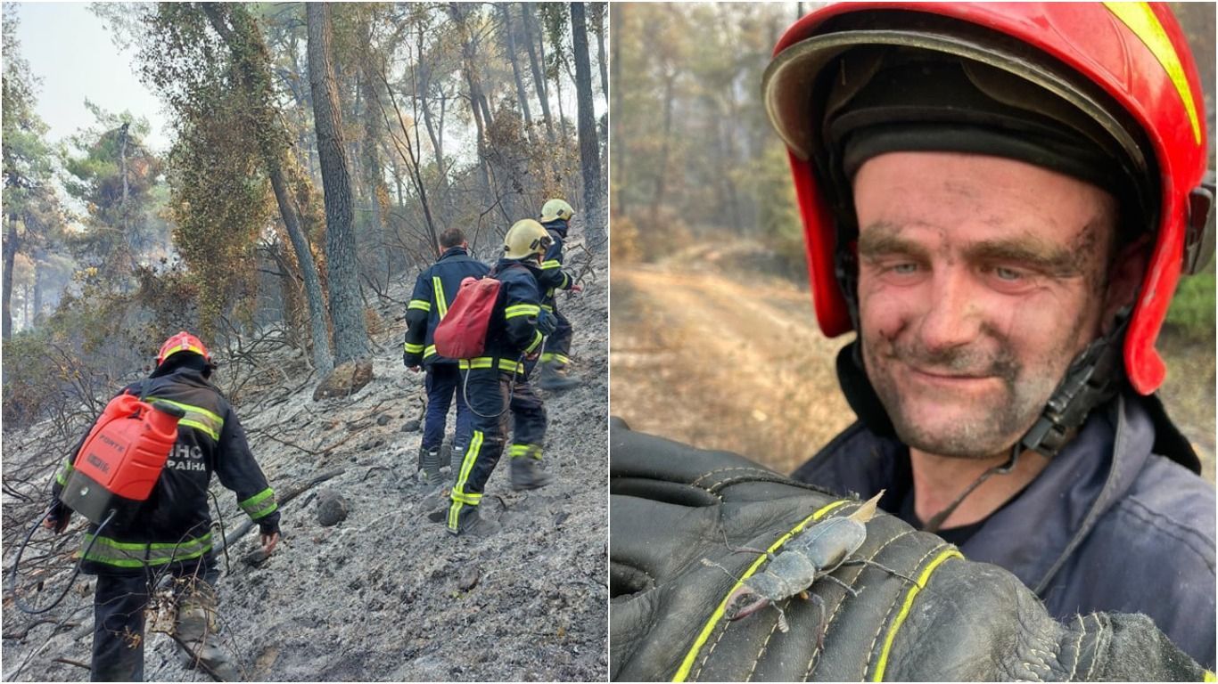 Греция и Турция увлекаются работой украинских спасателей Греция и Турция увлекаются работой украинских спасателей