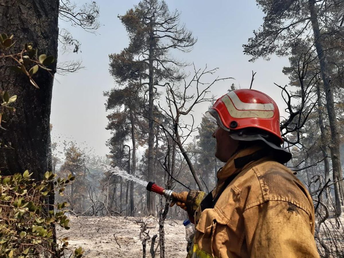 Как украинские спасатели борются с пожарами в Греции