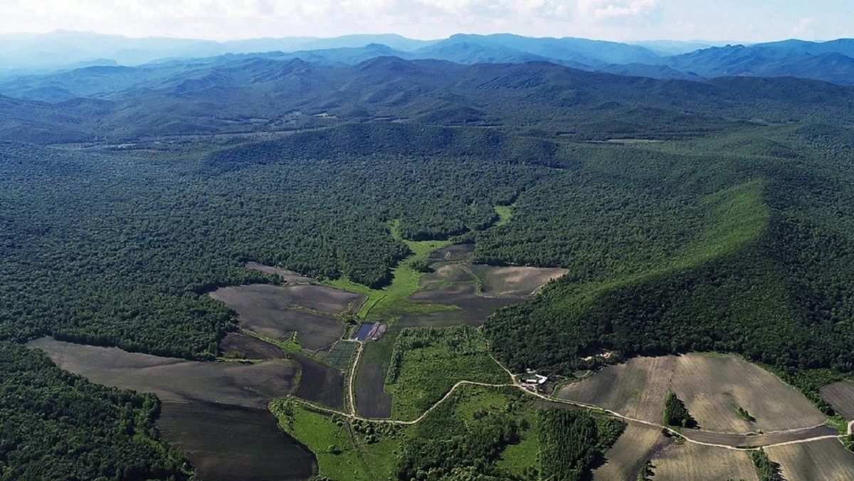 49000 лет назад произошла катастрофа - упал стометровый астероид 49000 лет назад произошла катастрофа - упал стометровый астероид