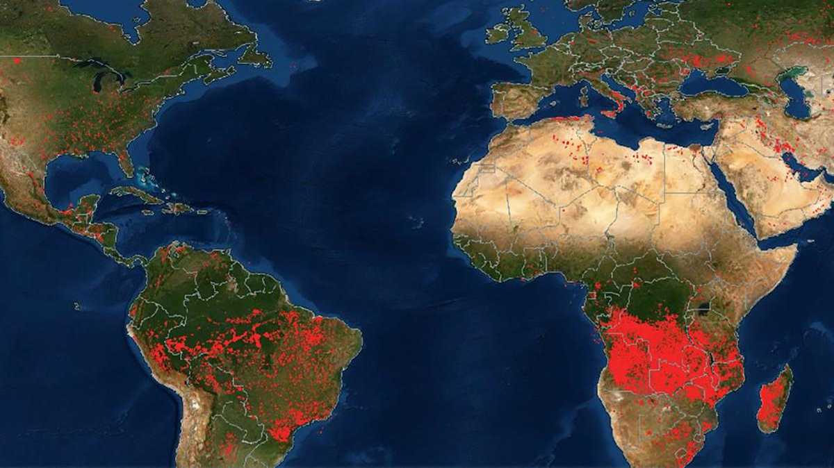 Пять континентов в огне: NASA показало шокирующую карту пожаров