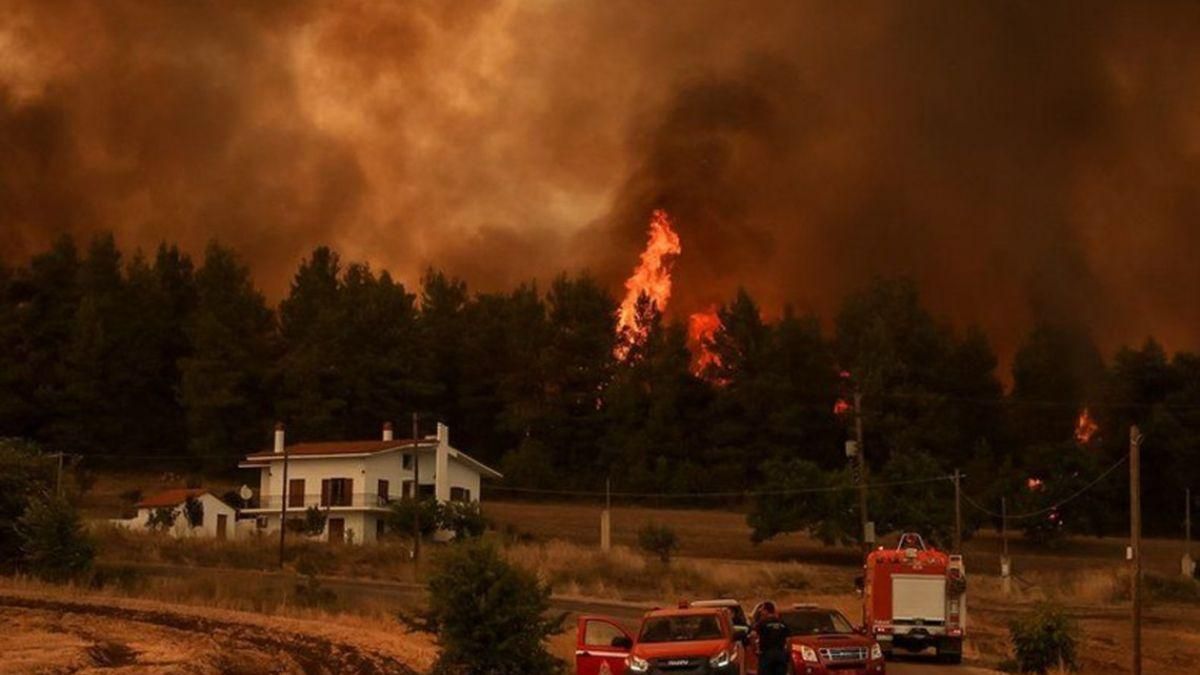 Пожежа на острові Евія в Греції стала найбільшою в історії країни