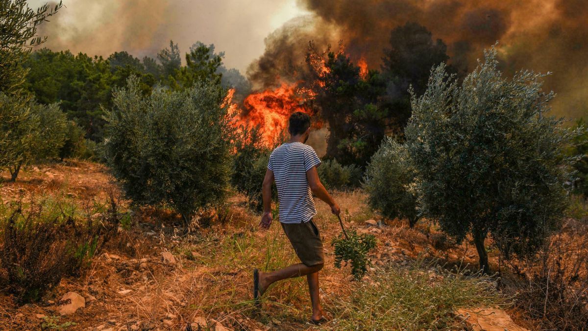 В Італії масово горять ліси: з'явились перші жертви – відео