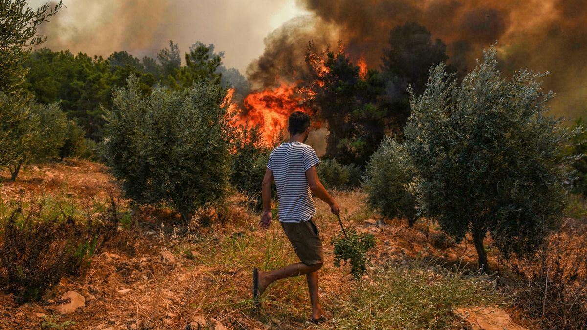 В Италии массово горят леса: появились первые жертвы - видео