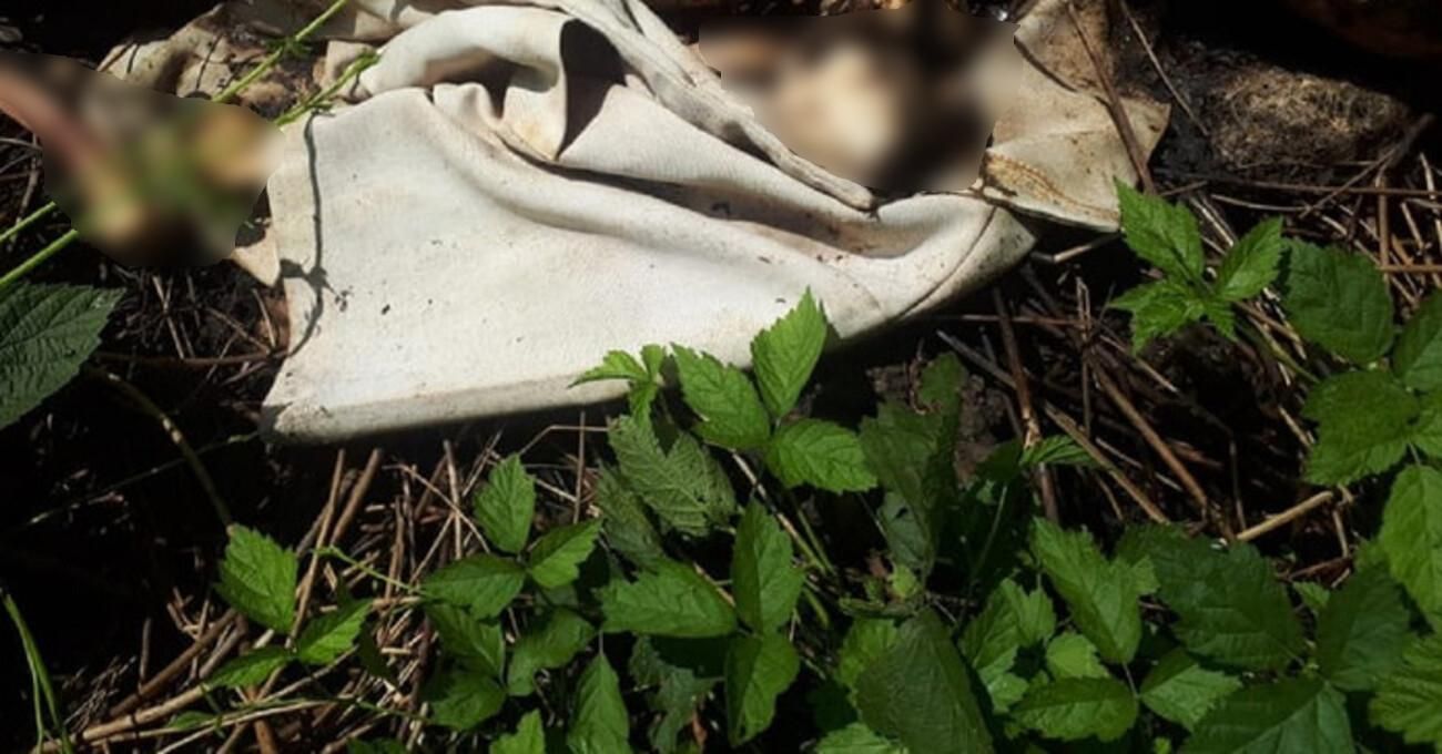 Пролежал несколько месяцев: на Львовщине нашли скелетированное тело мужчины - фото Пролежал несколько месяцев: на Львовщине нашли скелетированное тело мужчины - фото