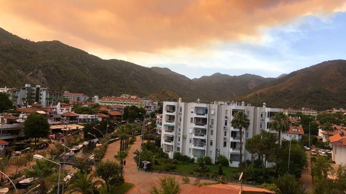 У Туреччині погасили усі лісові пожежі У Туреччині погасили усі лісові пожежі