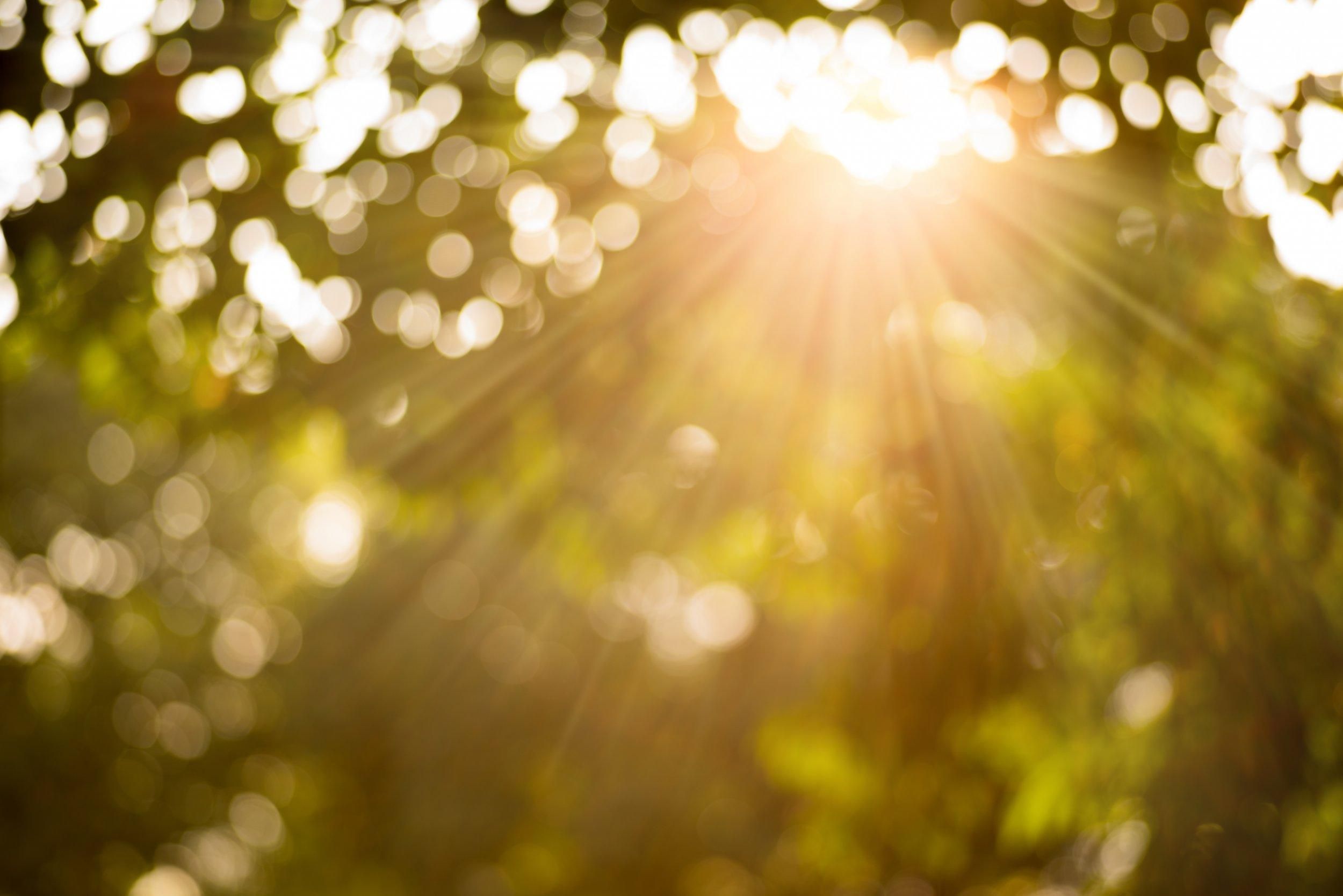 Погода на 13 серпня 2021 в Україні: що прогнозують синоптики Погода на 13 серпня 2021 в Україні: що прогнозують синоптики