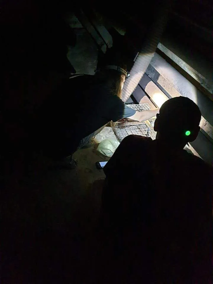 Так ловили кота у підземці Так ловили кота у підземці