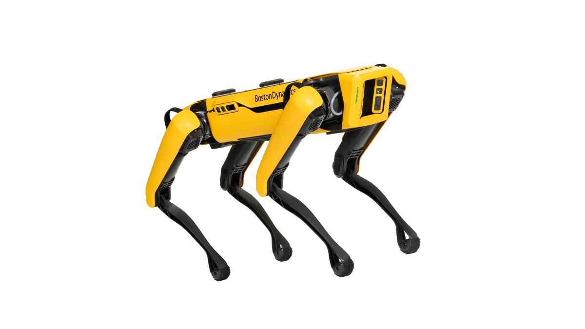 Полиция Гонолулу использовала роботов для работы с бездомными Полиция Гонолулу использовала роботов для работы с бездомными