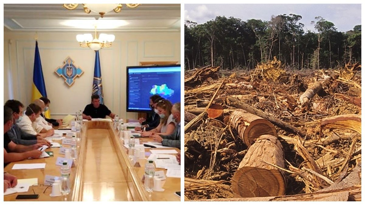 СНБО готовит заседание по сохранению и восстановлению лесов
