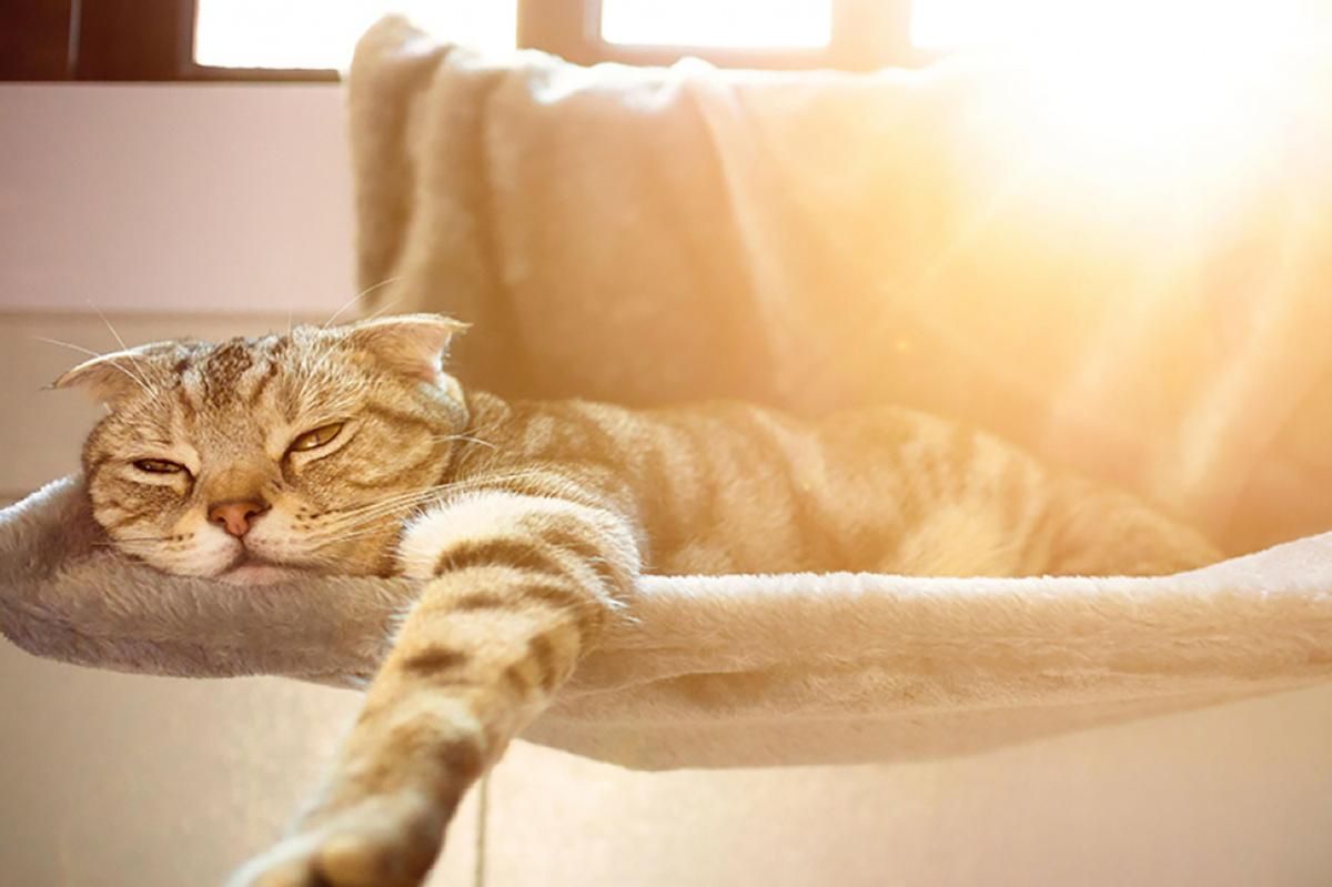 Погода на 16 серпня 2021 в Україні: що прогнозують синоптики Погода на 16 серпня 2021 в Україні: що прогнозують синоптики