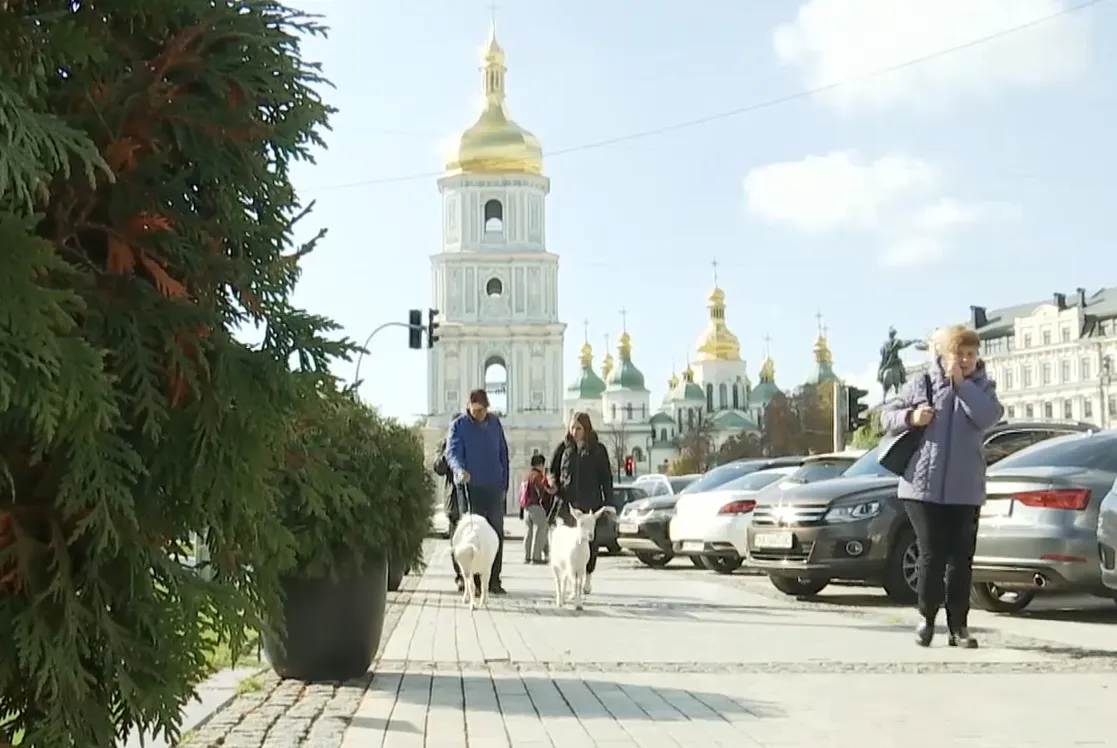 Зита и Остророжка гуляют по Киеву