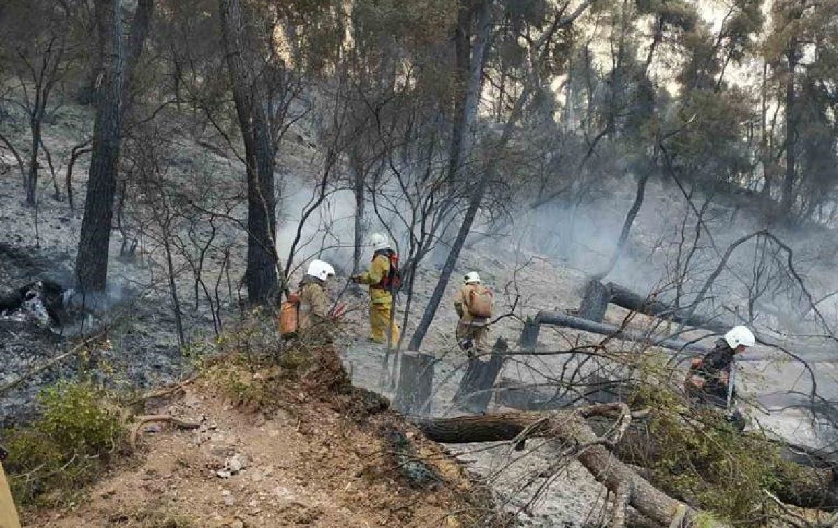Греція взяла під контроль лісові пожежі