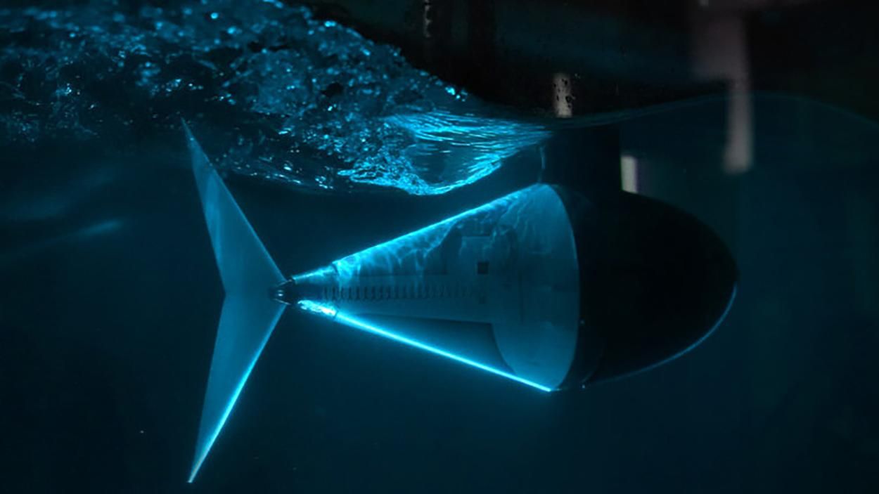 Підводний робот з хвостом: як плавають риби