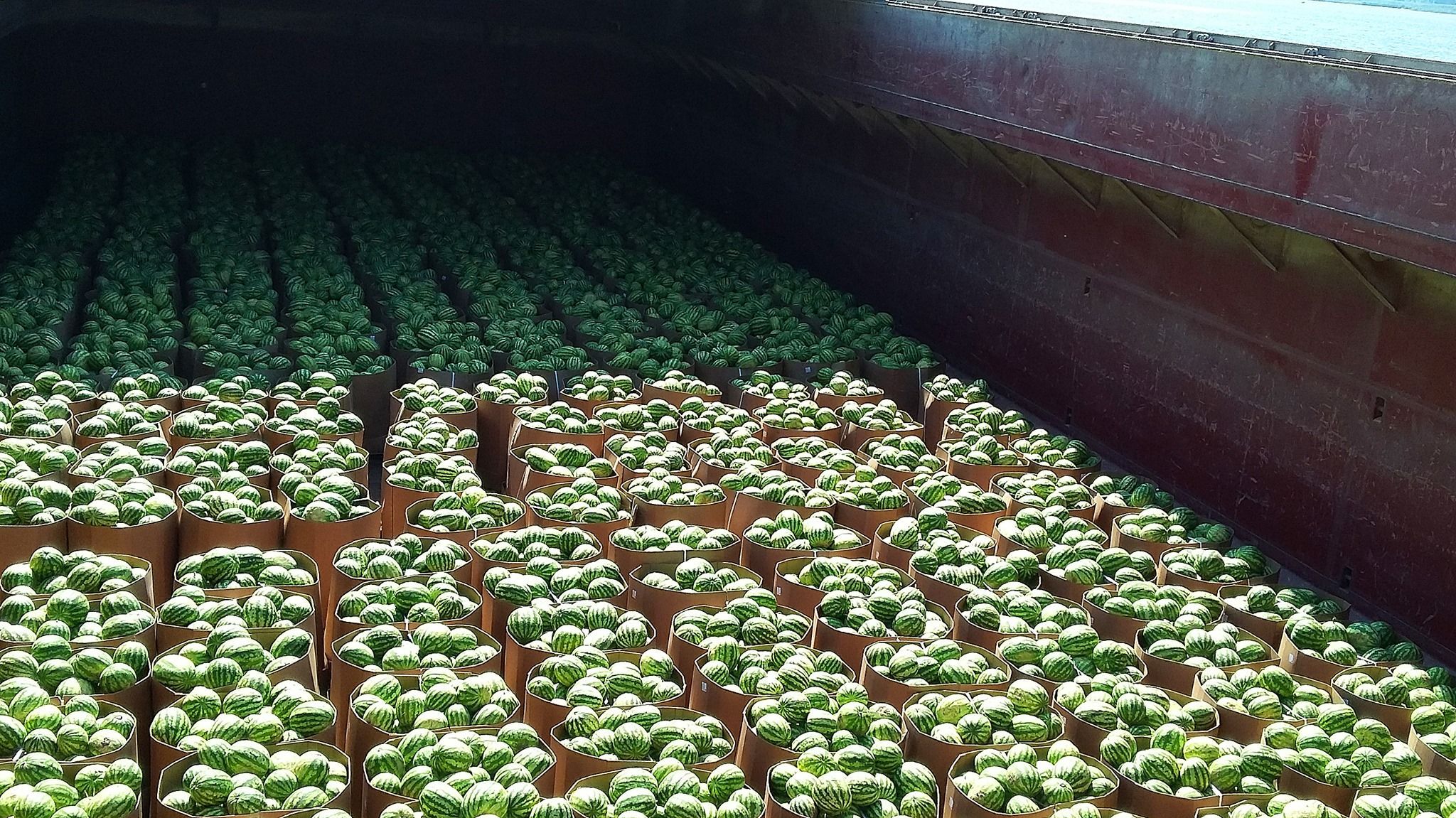 Відправили баржу з кавунами до Києва з Херсона: фото Відправили баржу з кавунами до Києва з Херсона: фото