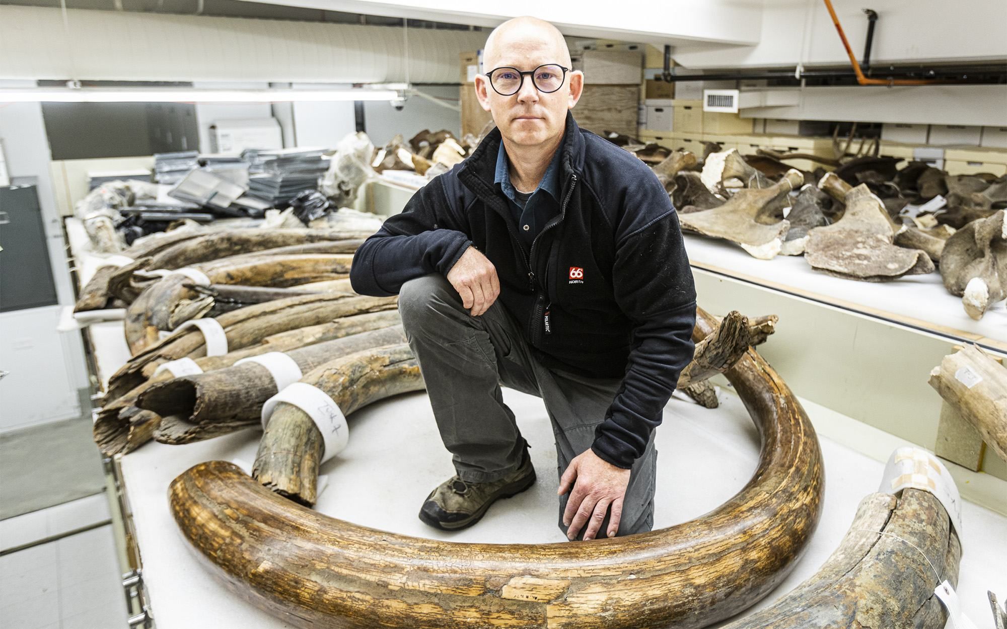 Мамонти: вчені визначили життєвий шлях мамонта Мамонти: вчені визначили життєвий шлях мамонта