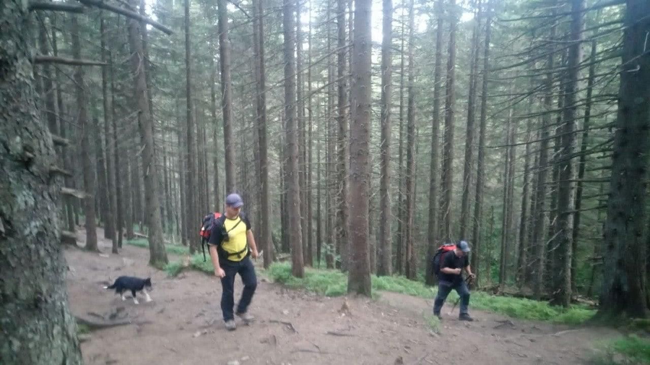 На Говерлі загубився 6-річний хлопчик: рятувальники розгорнули пошук На Говерлі загубився 6-річний хлопчик: рятувальники розгорнули пошук