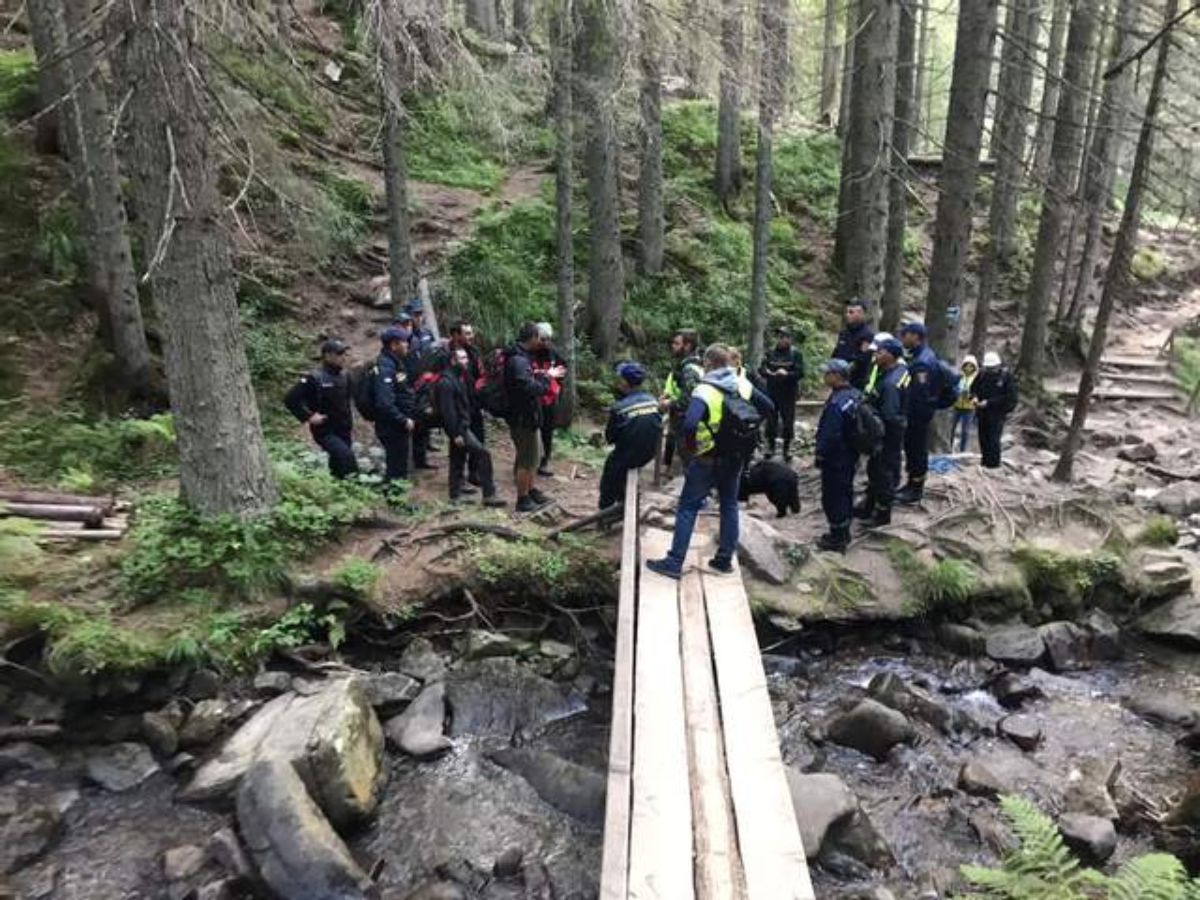 На Говерлі знайшли зниклого хлопчика віком 6 років