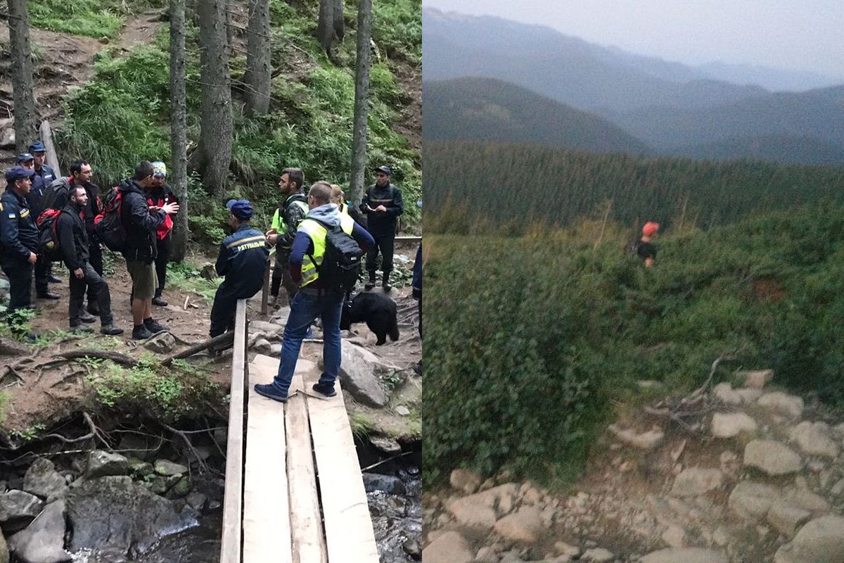 Мальчика, который потерялся возле Говерлы, нашли живым - 24 Канал Мальчика, который потерялся возле Говерлы, нашли живым - 24 Канал