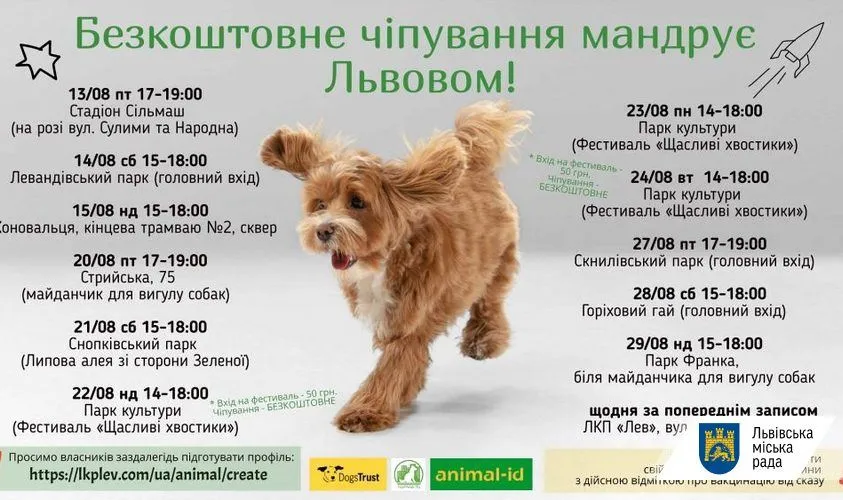 График чипирование собак