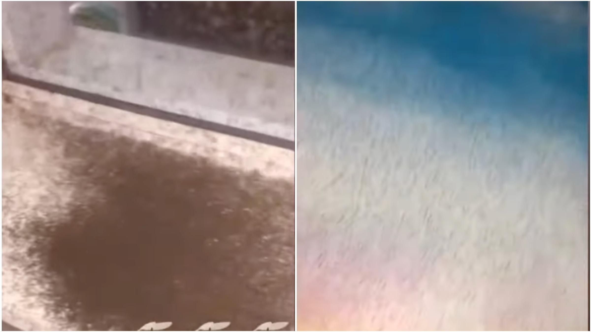 В курортной Кирилловке зафиксировали нашествие комаров: поразительное видео В курортной Кирилловке зафиксировали нашествие комаров: поразительное видео