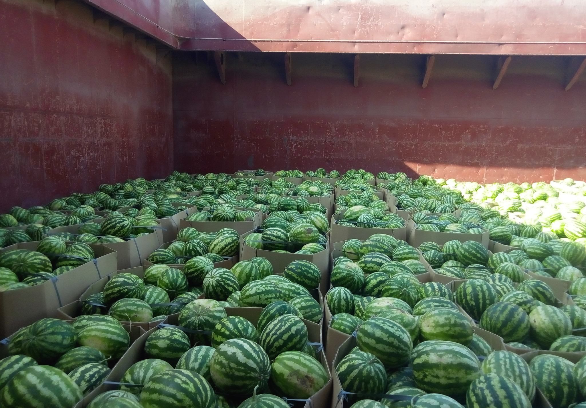 У Київ пливе баржа з кавунами: коли ягоди прибудуть у столицю - Новини Києва - Київ У Київ пливе баржа з кавунами: коли ягоди прибудуть у столицю - Новини Києва - Київ