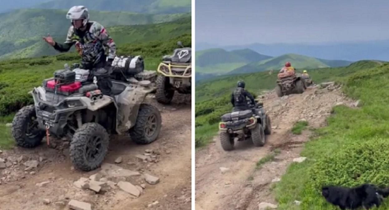 Польские туристы на квадроциклах хотели заехать на гору Петрос: украинцы помешали – видео Польские туристы на квадроциклах хотели заехать на гору Петрос: украинцы помешали – видео