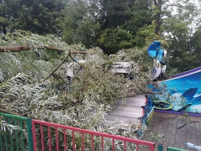 У львівському Парку культури дерево впало на атракціон: фото