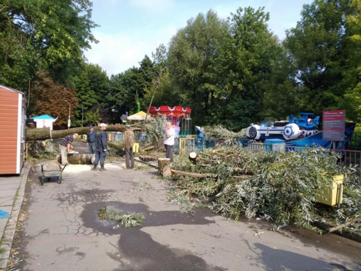 Во львовском Парке культуры дерево упало на аттракцион: фото