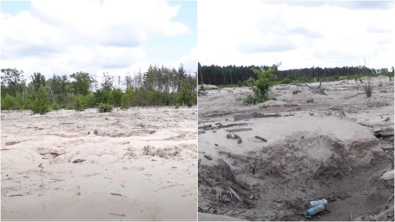 Леса превращаются в пустыню, – Казанский о последствиях добычи янтаря на Ровненщине Леса превращаются в пустыню, – Казанский о последствиях добычи янтаря на Ровненщине