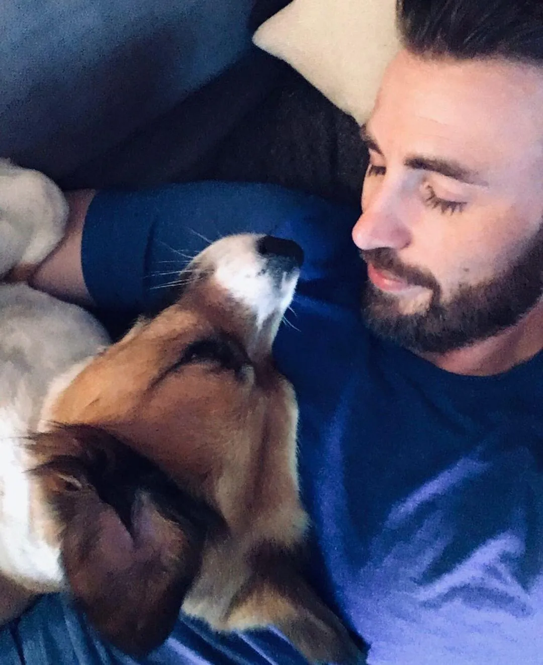 Кріс Еванс Кріс Еванс