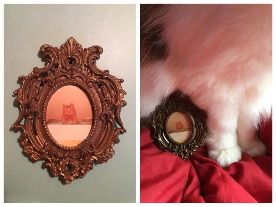 Це зображення котика у малесенькі брошці викликає лише посмішку Це зображення котика у малесенькі брошці викликає лише посмішку