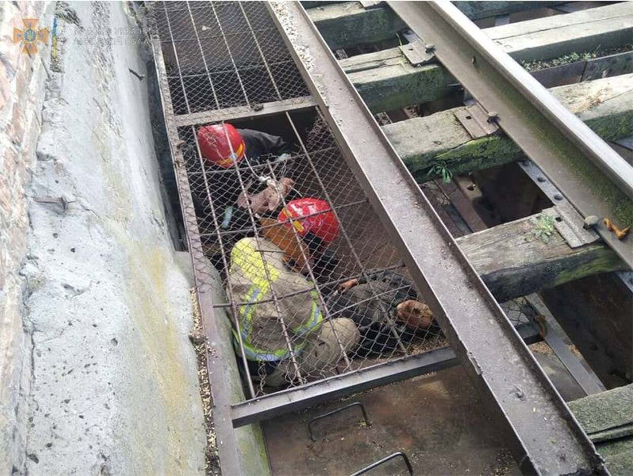 На Львівщині жінка впала у бункер для зерна: фото порятунку постраждалої - Новини Львів - Львів На Львівщині жінка впала у бункер для зерна: фото порятунку постраждалої - Новини Львів - Львів