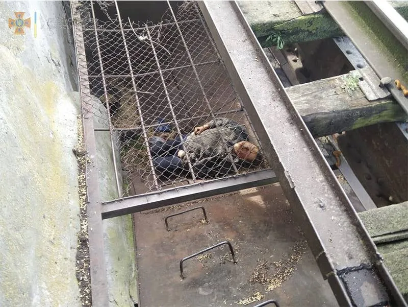 На Львівщині жінка впала у бункер для прийому зерна: фото порятунку постраждалої На Львівщині жінка впала у бункер для прийому зерна: фото порятунку постраждалої