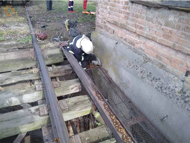 На Львівщині жінка впала у бункер для прийому зерна: фото порятунку постраждалої