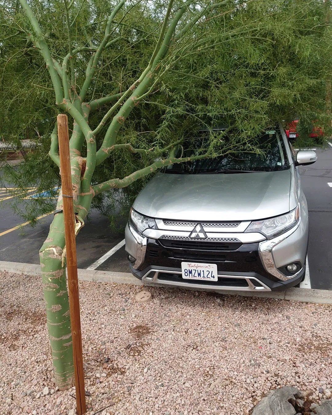 Ігор Кондратюк Ігор Кондратюк