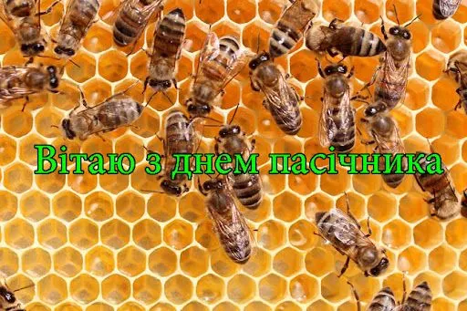 День пасічника 2021 картинки привітання День пасічника 2021 картинки привітання