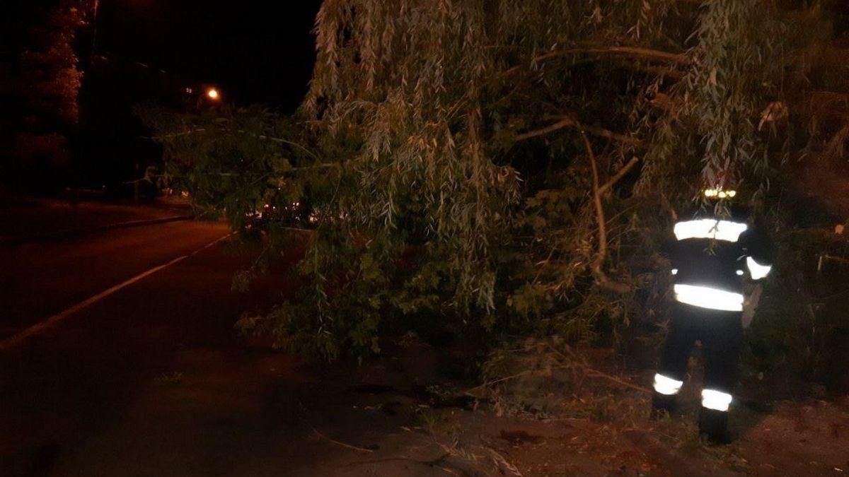 Поваленные деревья и сорванные рекламные щиты: в Винницкой области непогода натворила бед Поваленные деревья и сорванные рекламные щиты: в Винницкой области непогода натворила бед