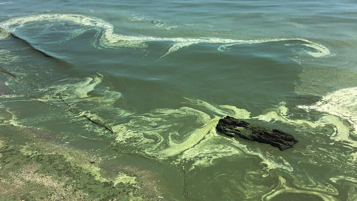 Виявили ротавірус і гепатит у водоймах на Харківщині - Україна новини - 24 Канал Виявили ротавірус і гепатит у водоймах на Харківщині - Україна новини - 24 Канал