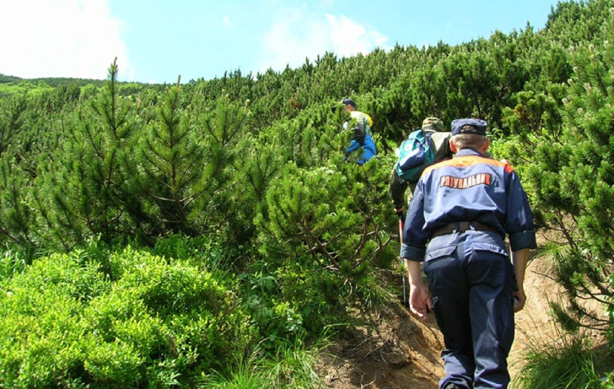 В Карпатах во время сбора ягод и грибов потерялись 4 детей: их удалось найти В Карпатах во время сбора ягод и грибов потерялись 4 детей: их удалось найти