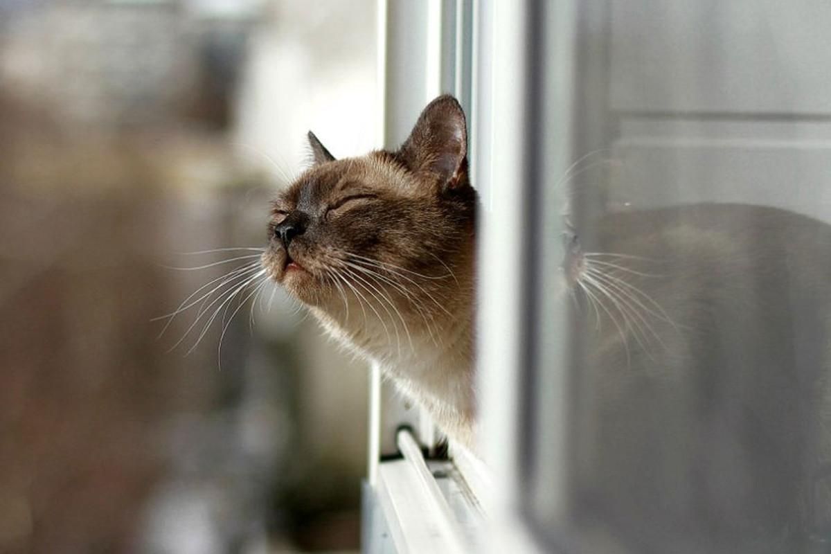 Погода на 23 августа 2021 в Украине: что прогнозируют синоптики Погода на 23 августа 2021 в Украине: что прогнозируют синоптики