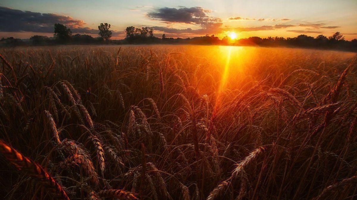 Погода на 25 серпня 2021 в Україні: що прогнозують синоптики Погода на 25 серпня 2021 в Україні: що прогнозують синоптики