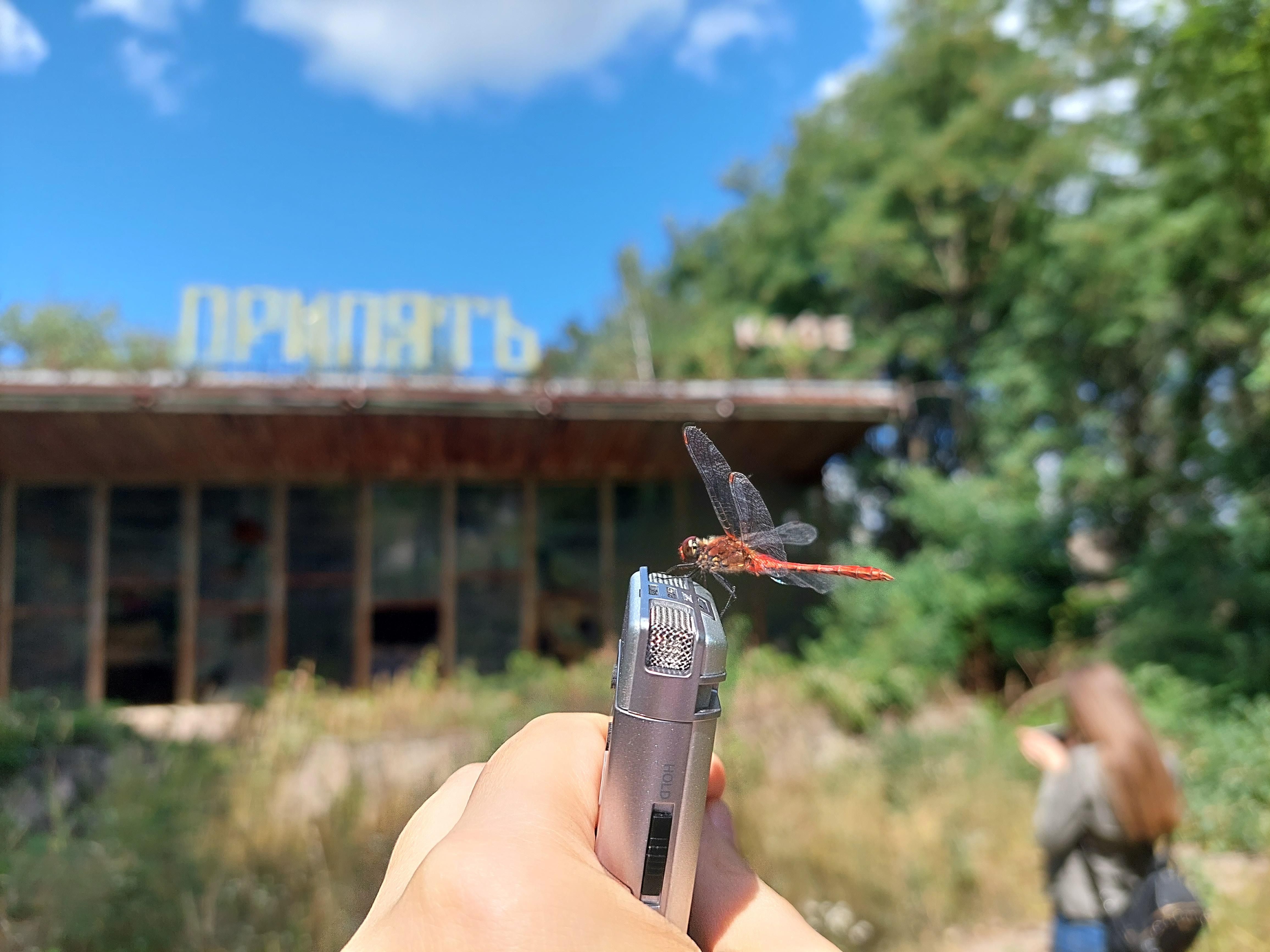 В Припяти рассчитывают на миллион туристов: как планируют менять Чернобыльскую зону В Припяти рассчитывают на миллион туристов: как планируют менять Чернобыльскую зону