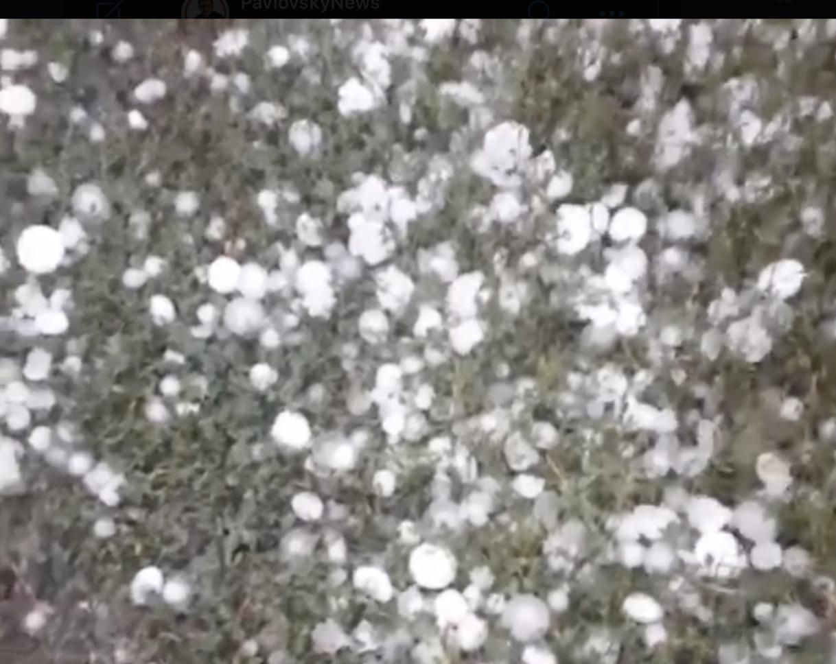 На Полтавщині випав град, розміром зі сливу: шокуючевідео - Україна новини - 24 Канал На Полтавщині випав град, розміром зі сливу: шокуючевідео - Україна новини - 24 Канал
