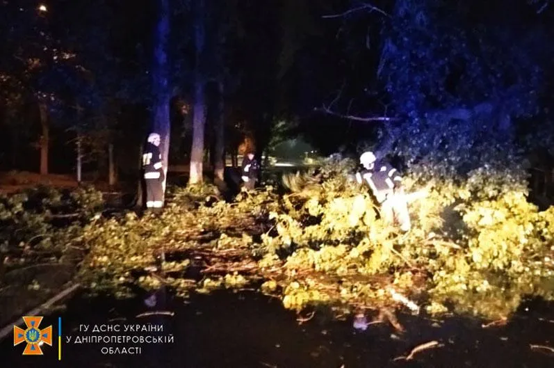 Впало дерево Загородило дорогу В Дніпрі