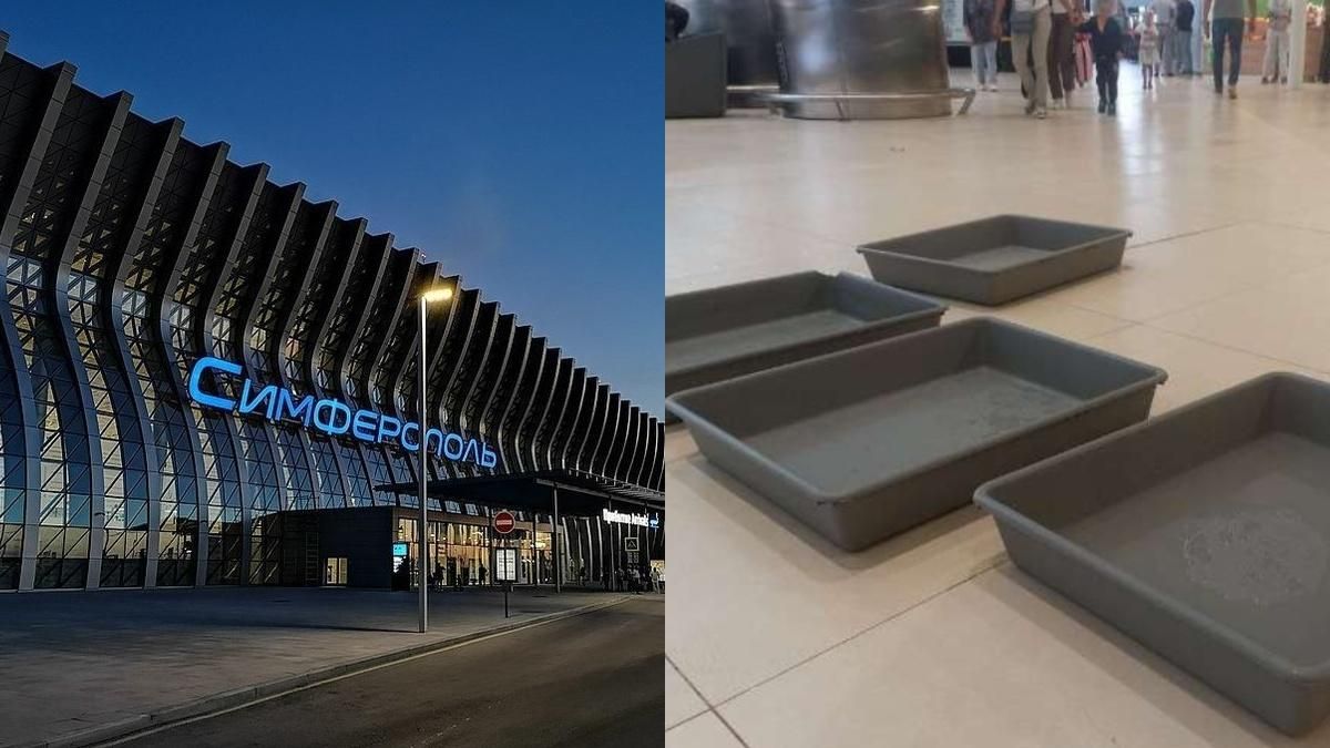 "Тазики є, йоржиків не вистачає": як окупанти рятують аеропорт Сімферополя від негоди - Новини Сімферополя - 24 Канал "Тазики є, йоржиків не вистачає": як окупанти рятують аеропорт Сімферополя від негоди - Новини Сімферополя - 24 Канал