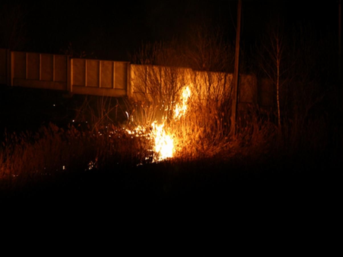 В Україні оголосили загрозу пожеж: в яких областях слід бути обережним - Україна новини - 24 Канал В Україні оголосили загрозу пожеж: в яких областях слід бути обережним - Україна новини - 24 Канал